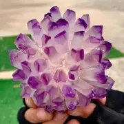 472G New Find purple PhantomQuartz Crystal Cluster MineralSpecimen