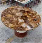 Petrified Agate Wood Coffee Table, Luxury Round Table, Center Table Home Decor