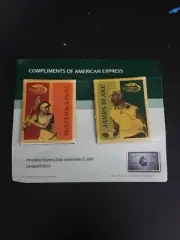 American Express 2007 Tennis US Open Pins Venus Williams James Blake