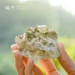 ｜黃鐵礦共生水晶石英 PYRITE WITH CRYSTAL AND QUARTZ｜超透光 淨化脈輪 轉運 風水 淨化