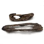Full Sinking Grade Genuine Wild Malaysia Peninsular Aged wormhole Agarwoods