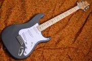 Paul Reed Smith(PRS) SE Silver Sky Overland Gray Physical image