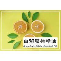 在飛比找蝦皮購物優惠-【露西皂材】白葡萄柚精油 Grapefruit White 