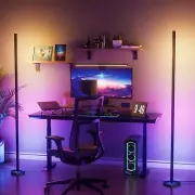 2PCS RGB Floor Lamp, Bluetooth APP and Remote Control 65" Smart Modern Standi...