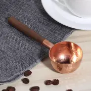 Coffee Measuring Scoop,10G Coffee Scoops,Wooden Long Handle Coffee Spoon in Blac