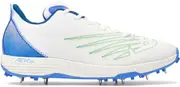 CK10v5 Men's Cricket Shoes