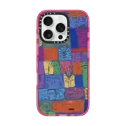 iPhone 16 Pro Impact Case MagSafe Compatible Color box