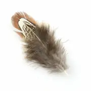 Brown 50pcs Natural Colour Pheasant Feathers 5-8cm DIY Wedding Craft Party Decorations