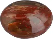 Natural Petrified Wood Pocket Palm Stone Worry Stones Therapy Crystal Healing Gemstone Irregular Shape