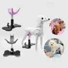 Pet Grooming Articles Dog Grooming Stand Dog Auxiliary Standing Bracket