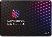 GamerKing SSD 2.5 Inch SATA3 256GB Internal Solid State Drive for Desktop Laptops SATA III 6 Gb/s 1TB 512GB 128GB 64GGB High Performance Hard Drive (256GB, 2.5 Inch SATA3)