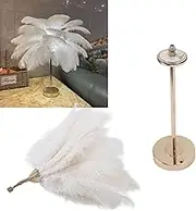 Ostrich Feather Lamp, Touch Switch USB Feather Table Lamp, Princess Lamp, Aesthetic Nightstand Gold Desk Light, Funky Table Lamp for Girls Bedroom Cute Bed