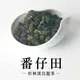 【六奉茶莊】2023冬茶-杉林溪番仔田烏龍茶-四兩-150g-編號：7067312020884 烏龍茶 高山茶 杉林溪茶