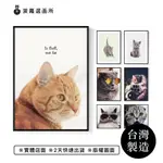 [台灣製造] [現貨] 貓奴系列掛畫 - 貓咪 北歐INS裝飾畫 可愛 創意 貓咪掛畫 居家裝飾客廳 臥室掛畫