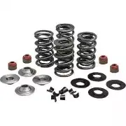 KW Racing Exhaust Intake Valve Spring Kit .65in HD Dyna Super Glide Custom 05-14