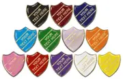 Create Your Own School Shield Pin Badge