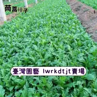 在飛比找蝦皮購物優惠-台園 【開發票】收據 免運 【茼蒿種子】小葉茼蒿 大業茼蒿清