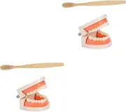 Gatuida 2 Sets Care Model for Kids Kids Teeth Brush Teaching Model Set Present