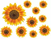 Sun Flower Die Cut Decals Stickers Crafting Nursery Wall Window Decoration Art