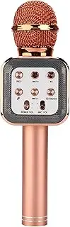 Microphone,Karaoke Mic Speaker,5W Portable Handheld Party Microphone (Rose Gold)