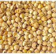 Exportmall Paneer Dodi | Indian Rennet | Paneer Doda | Withania Coagulans 100Gram
