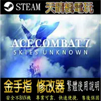 在飛比找蝦皮購物優惠-【PC】空戰奇兵 7：未知天際   steam 金手指 空戰