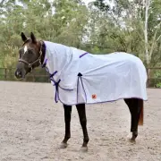 Capriole Ripstop Cotton Purple & Lime Green Check Summer Horse Combo Rug