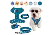 4-PIECE WALKIES BUNDLE [Pipco Pets] - Adjustable Dog Harness + Collar + Lead + Poo Bag Dispenser (Starry Night)
