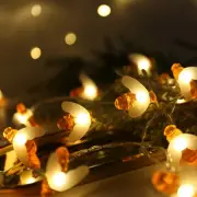 Honeybee Fairy String Lights, Plug in String Lights 10ft 20 LED Warm White Li...