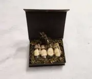 RARE LITJOY HERBOLOGY PLANT SPECIMEN BOX HARY POTTER DISPLAY FROM MONTHLY BOX