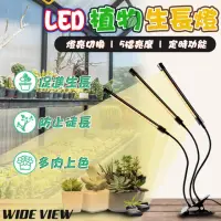 在飛比找momo購物網優惠-【WIDE VIEW】三管LED自然光植物生長燈(植物日照燈