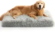 Extra Large Dog Bed, XL Orthopedic Egg Crate Foam Dog Bed with Removable Washabl