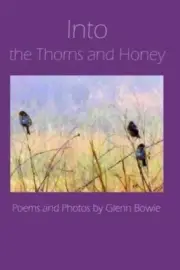 Into the Thorns and Honey by Glenn Bowie [Paperback, 106 pages]