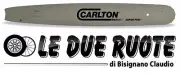 BAR Blade Chainsaw Oleomac Olimpyk Papillon 250 251 251B 252 254 261 Carlton