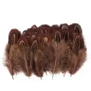 100 pcsHappy Feather Natural Pheasant Plumage Feathers 2-3 Inches Plumage Fea...