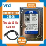 WESTERN DIGITAL 250GB HDD 硬盤 -1 個用於 1 個 PCV53