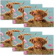 Highland Cow Placemats Set of 6, 12x18 Inch Cattle Animal Table Place Mat Farmhouse Washable Non-Slip Heat Resistant Fabric Placement Mats for Dining Kitchen Indoor Outdoor Decor