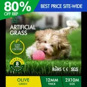 OTANIC Artificial Grass 20 SQM Roll Synthetic Turf Fake Yarn Lawn 12mm 2x10m