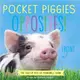 Pocket Piggies Opposites! ─ Featuring the Teacup Pigs of Pennywell Farm