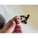 圓葉蒲葵-乾燥種子-可手作