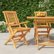 Folding Garden Chairs 2 pcs 56x63x90 cm Solid Wood Teak vidaXL
