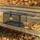 Humane Mice Trap Indoor Live Chipmunk Trap Humane Small Live Animal Trap here