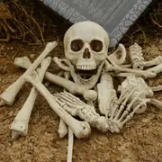 12pcs Human Breaking Skeleton Halloween Human Skeleton Head Body Model Life Size Model House Prop Medical AU