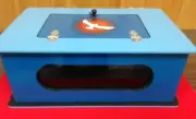 MAGIC TRICK & ILLUSION - VISUAL VANISHING ACT - SEE THRU TIP OVER BOX