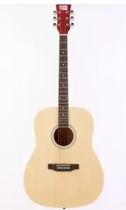 Brand New Hal Leonard Learn To Play Full Size Dreadnought Guitar HL00368592