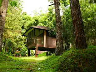 伊甸自然公園和度假村Eden Nature Park and Resort