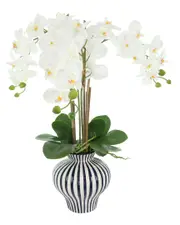 Creative Displays Orchids Arranged in Decorative Ceramic Vase