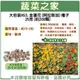 【蔬菜之家】大包裝H53.金蓮花(阿拉斯加)種子25克(約200顆)