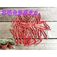 在飛比找蝦皮購物優惠-【園藝城堡】草莓走莖固定叉 走莖固定器 草莓固定叉 壓蔓器 