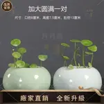 【品質生活館】陶瓷水培花盆銅錢草花器陶瓷水培盆栽桌面花盆陶瓷水耕瓶陶瓷水耕盆小盆栽容器懶人盆栽裝飾花瓶陶瓷水耕盆栽無孔花